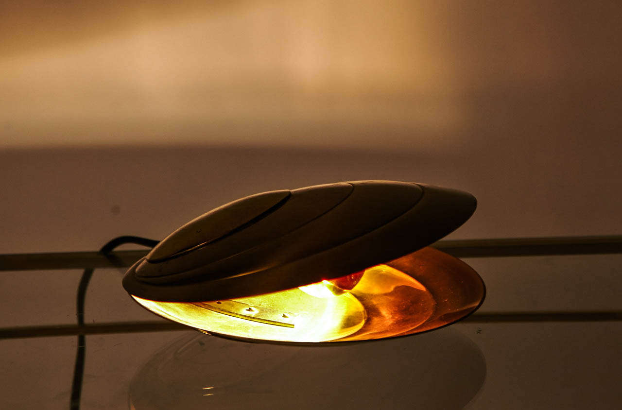 Lamp Shell by Angelo Brotto 1